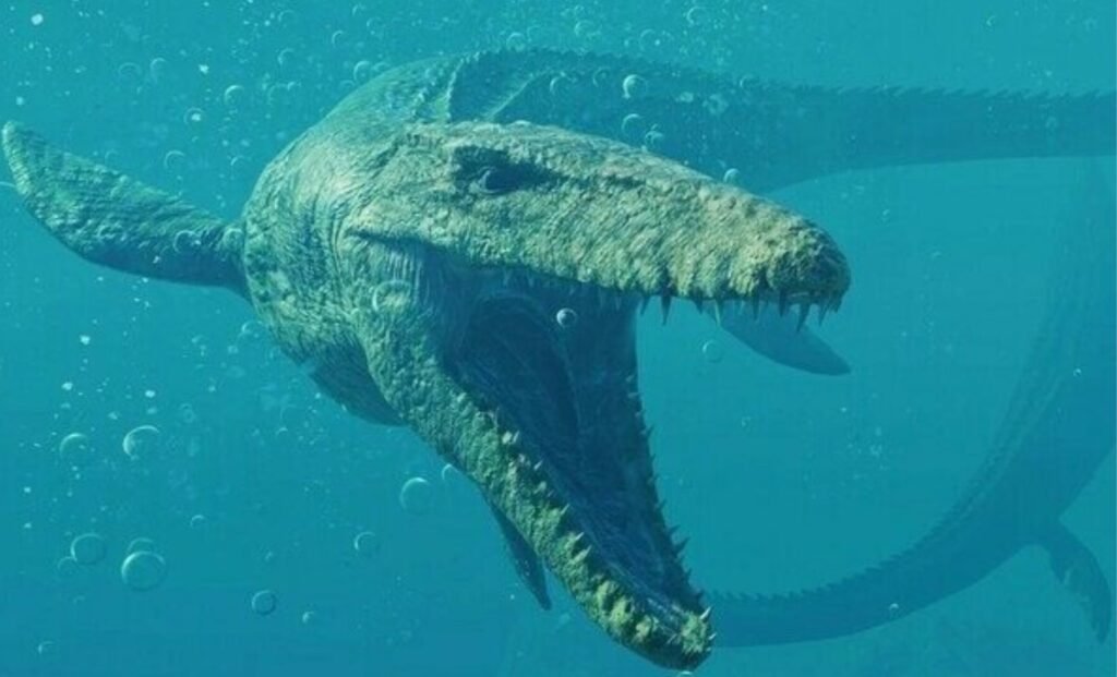 a Mosasaur