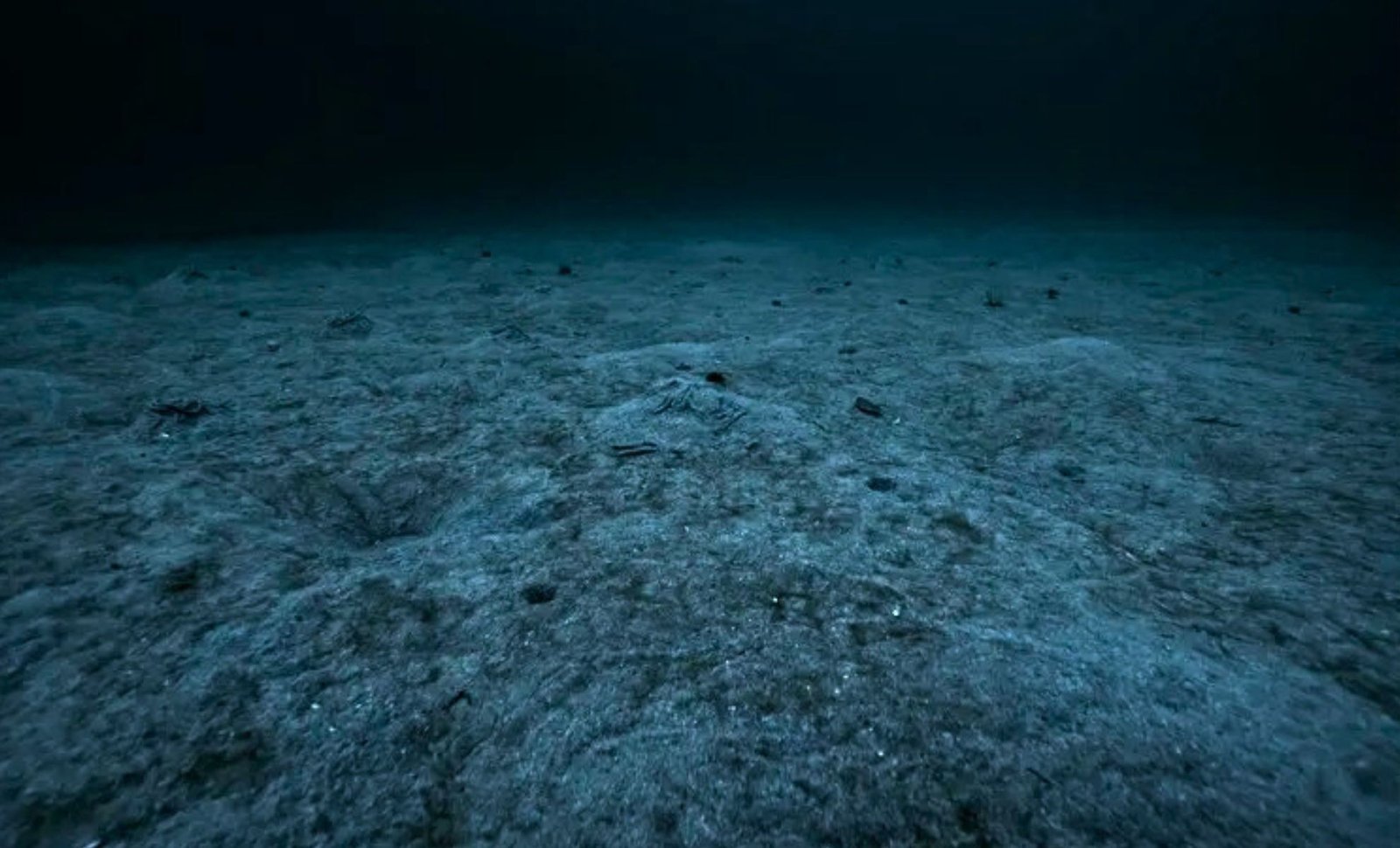 Scientists Uncover a Terrifying Predator With Dexterous Claws Lurking 8 Kilometers in Earth’s Deepest Ocean Trench