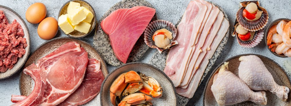 Selection food for CARNIVORE DIET