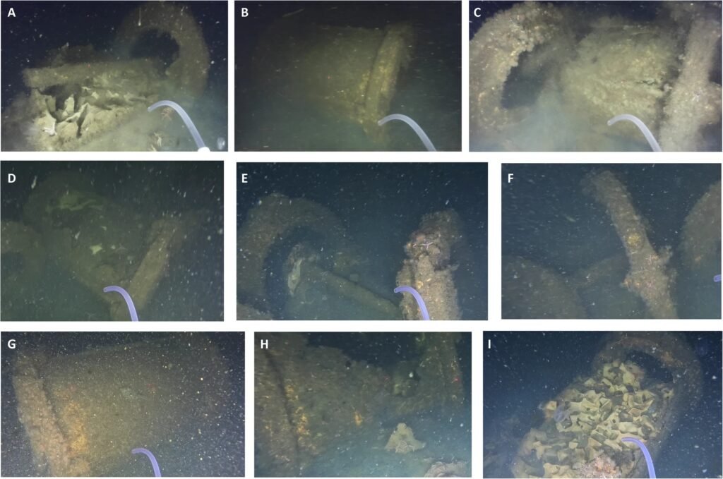 External appearance of each of the investigated objects of the ROV observations