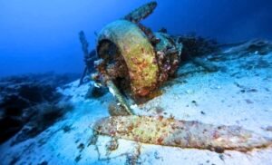 Scientists Discover Dense Marine Life Growing on Leaking WWII Weapons Hidden Deep Beneath the Baltic Sea Floor