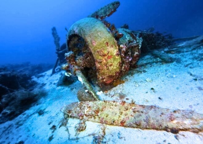 Scientists Discover Dense Marine Life Growing on Leaking WWII Weapons Hidden Deep Beneath the Baltic Sea Floor