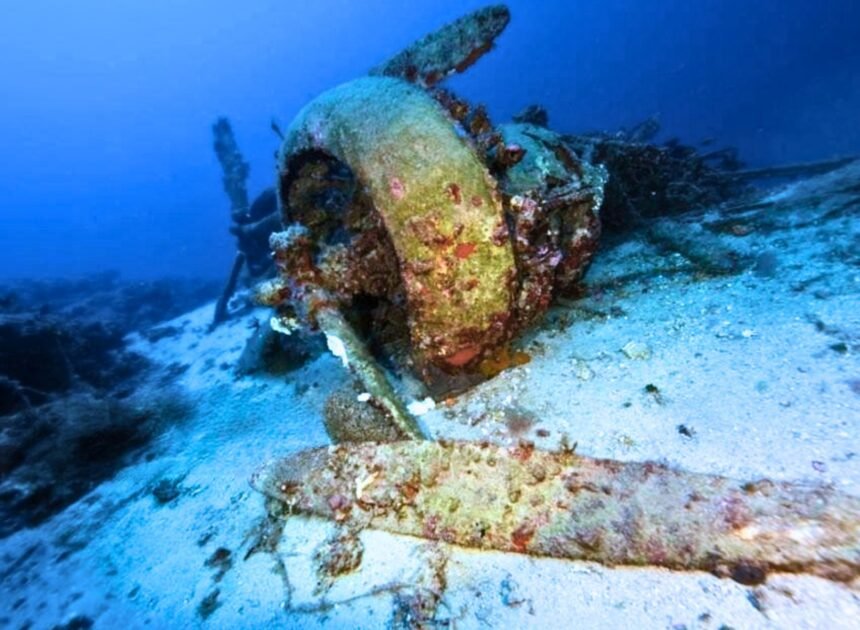 Scientists Discover Dense Marine Life Growing on Leaking WWII Weapons Hidden Deep Beneath the Baltic Sea Floor