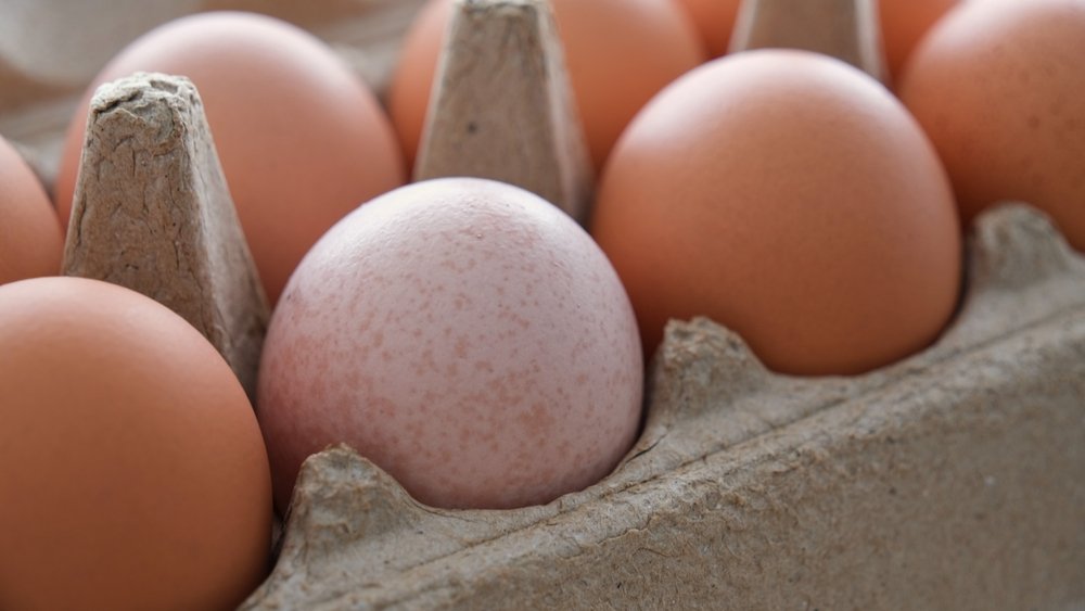 Brown eggs may cost more because some hens lay fewer eggs