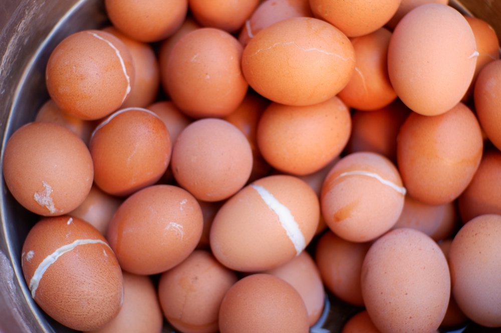 Egg color comes from the hen’s breed