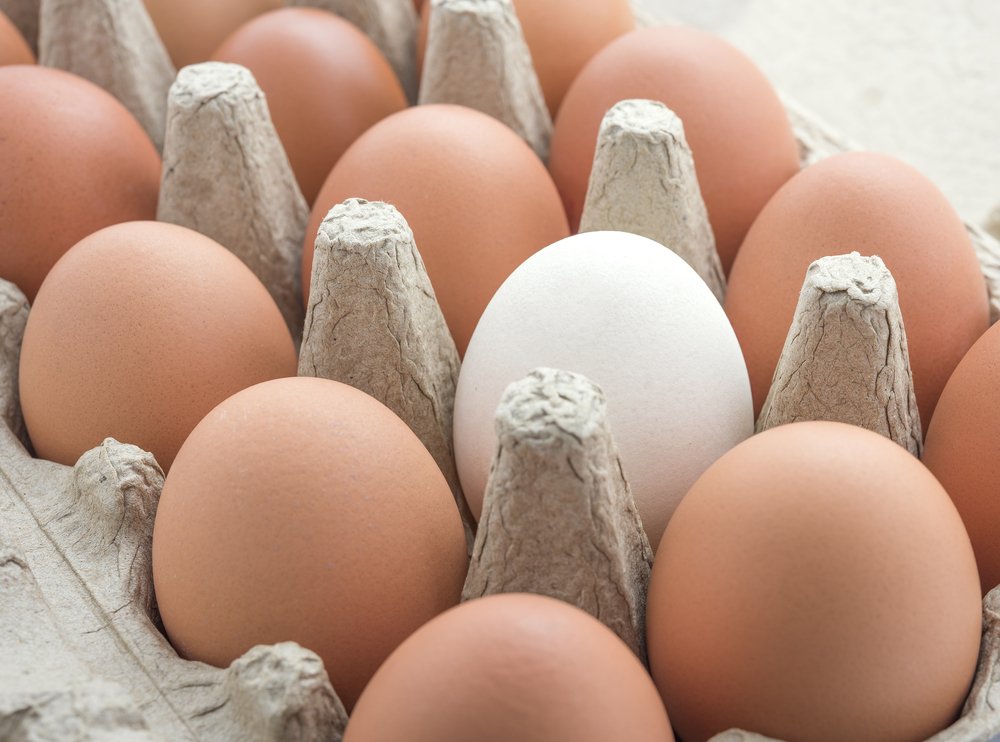 Taste depends on freshness, feed, storage, and cooking