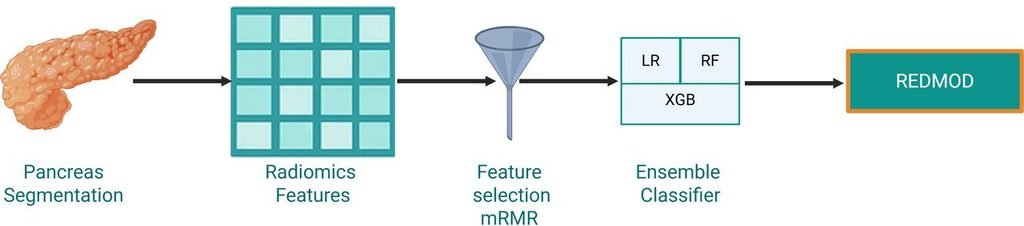 Model pipeline for REDMOD